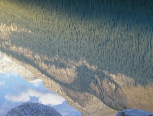 粉象生活邀请app