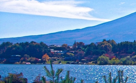 粉象生活邀请码