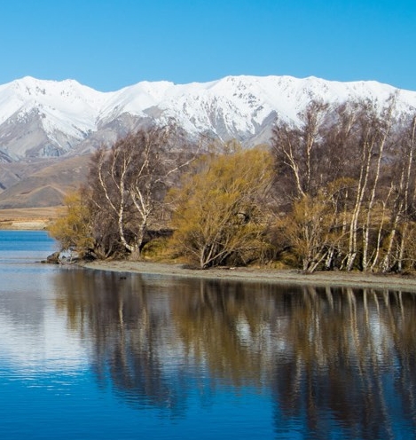 粉象生活是正规平台吗