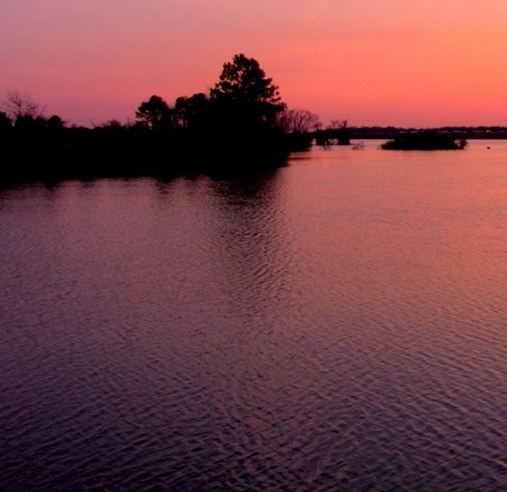 粉象生活在家买东西