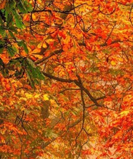 粉象生活没有邀请码怎么办