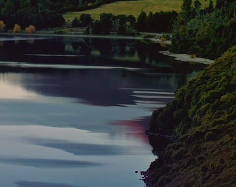 粉象生活属于淘宝客吗