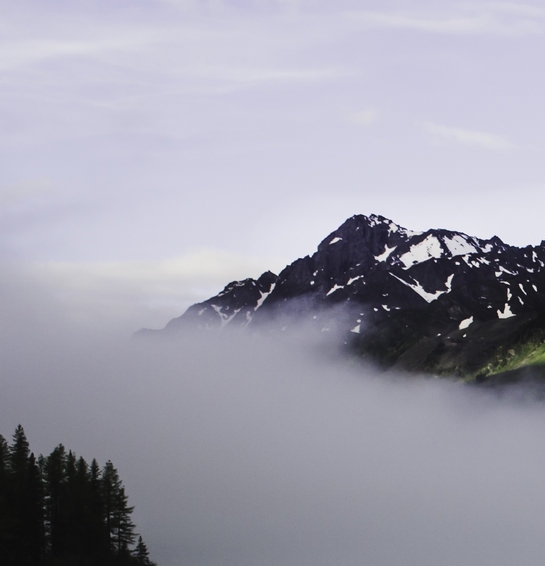 粉象生活邀请码