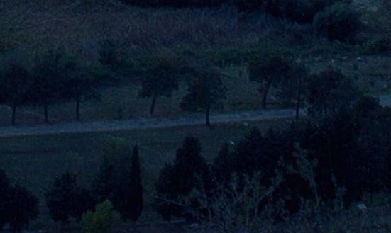 粉象生活下载app邀请码