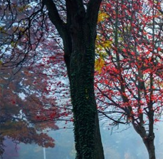 不用邀请码可以注册粉象吗