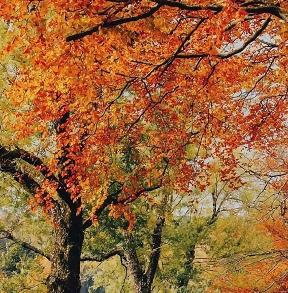 粉象生活新手怎么做