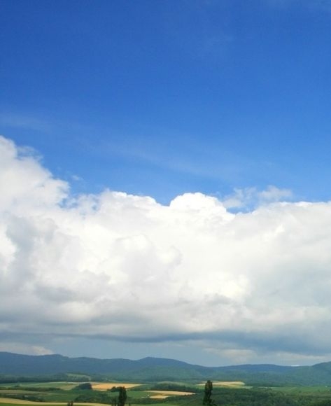 粉象生活是正规平台吗