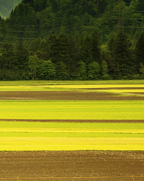 粉象生活怎么注册不了