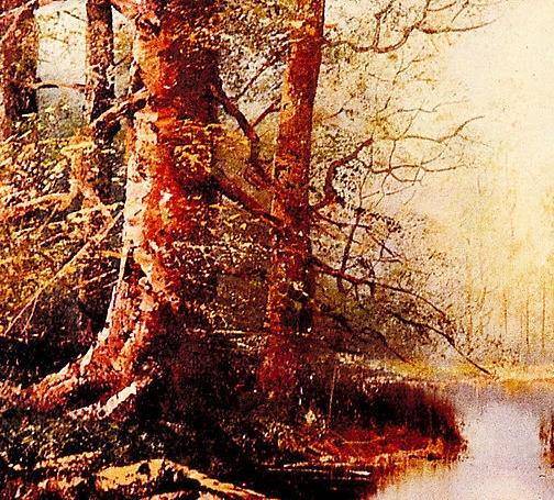 注册粉象生活能