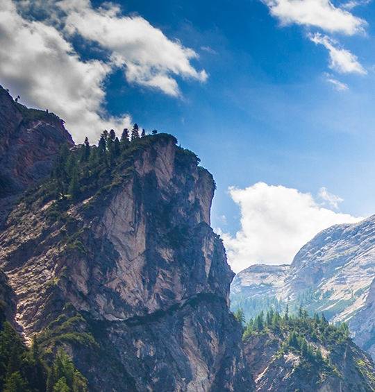 粉象生活淘客怎么开通