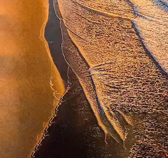 粉象生活提现有没有手续费