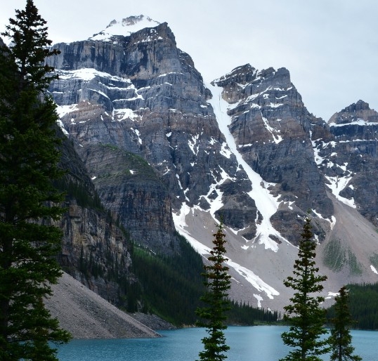 粉象生活没有邀请码