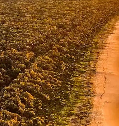 粉象生活能赚到钱吗