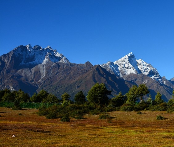 粉象生活手机版推荐码