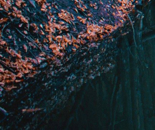 粉象生活用的是哪家软件