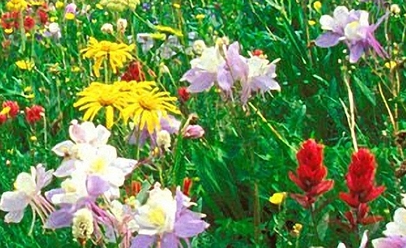 注册粉象生活有风险吗