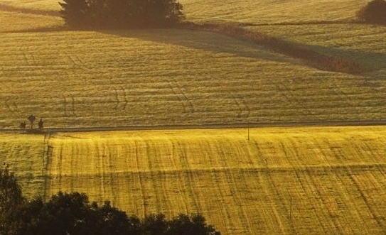 粉象生活怎样解除绑定