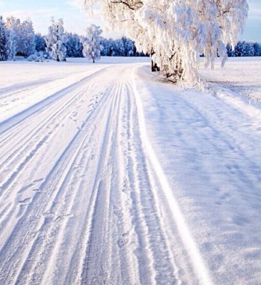 粉象生活邀请码填谁的最好