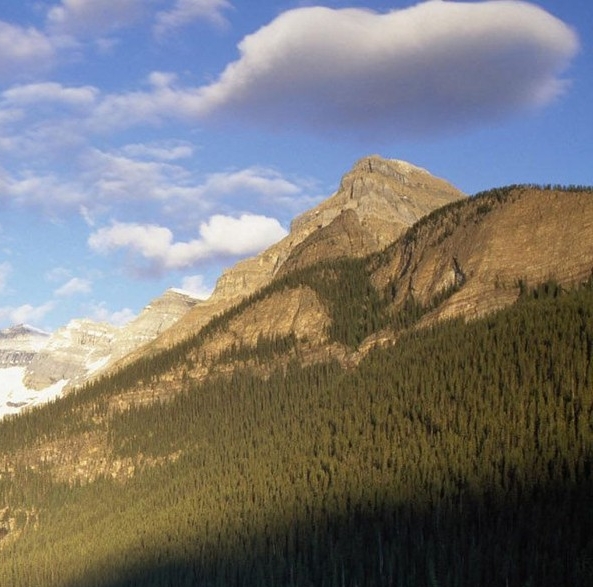 粉象生活邀请码