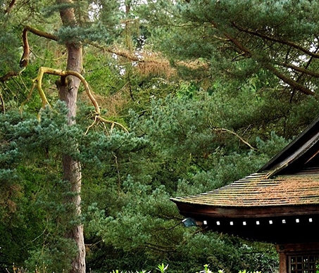 嘉兴粉象生活市场前景