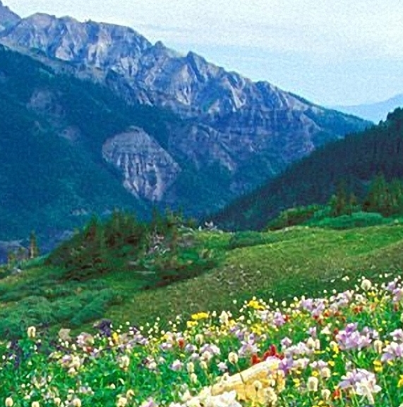 粉象生活邀请人有邀请费么