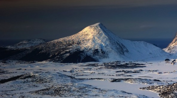 粉象为什么用邀请码