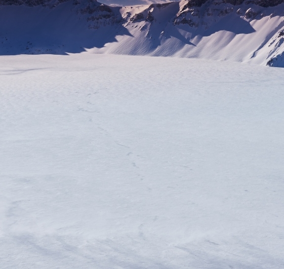 粉象生活代理有钱赚吗