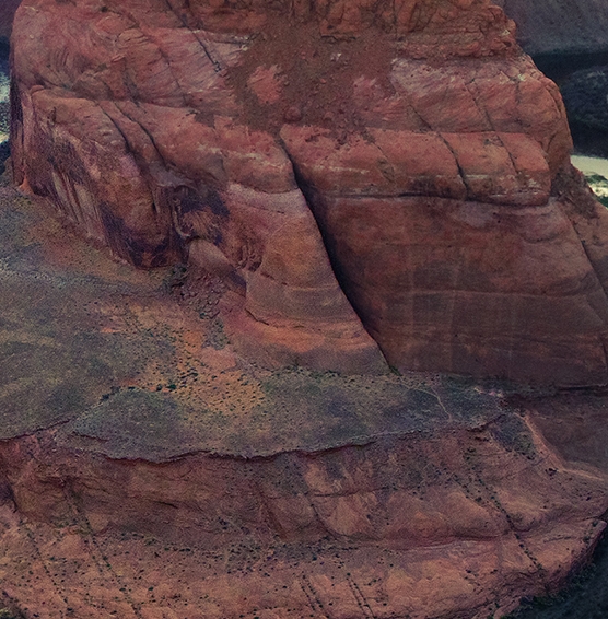 粉象生活赚钱教程