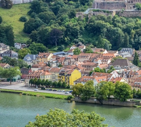 粉象生活注册商家教程