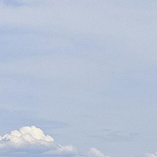 浙江高端粉象生活好不好