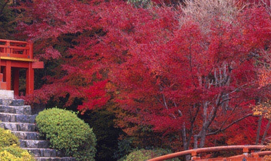 粉象生活软件安全吗