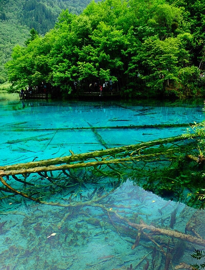 粉象啤酒深粉和浅粉区别