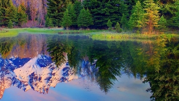 吕梁粉象生活注册