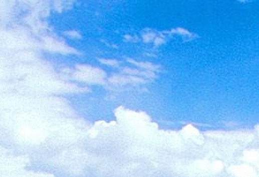 粉象生活代理几级