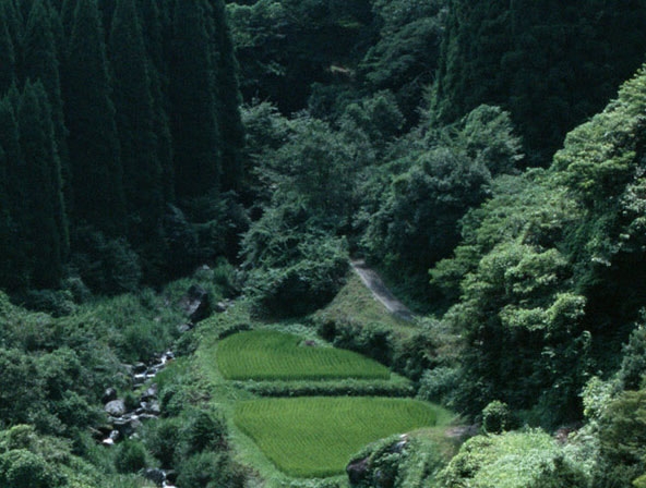 金昌粉象生活软件