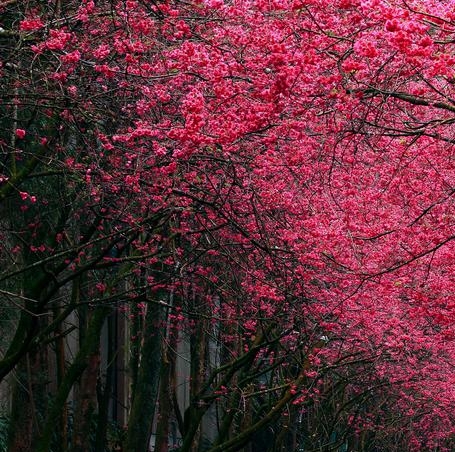 粉象没有邀请码如何注册机
