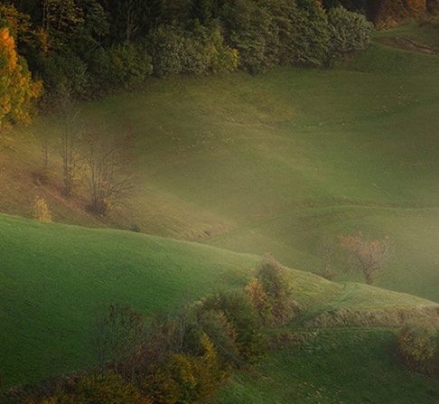 免费注册粉象生活