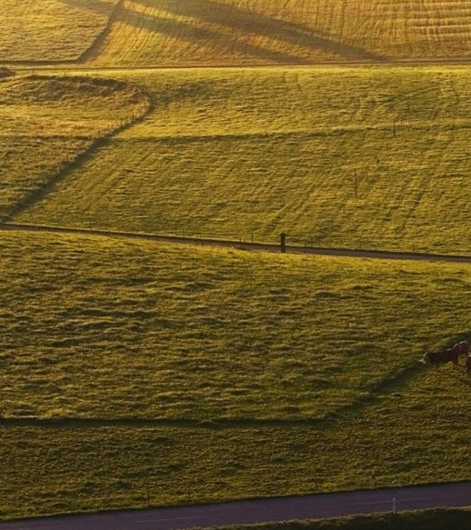 粉象生活怎么开通淘宝联盟