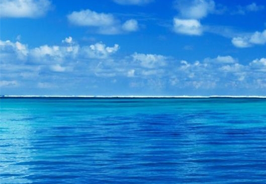 绍兴粉象生活注册邀请码