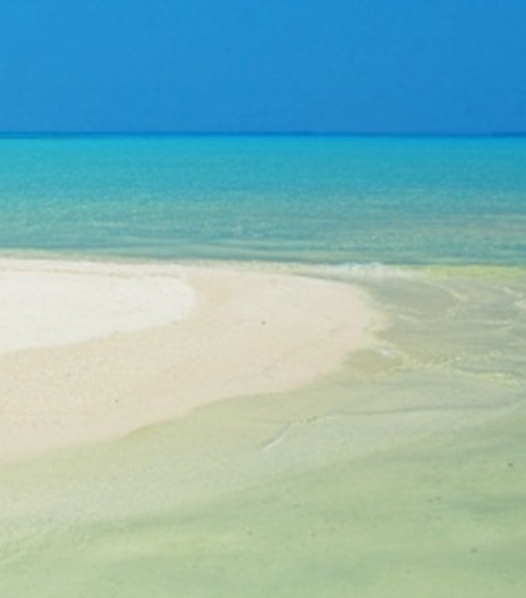 粉象生活第一个是怎么注册的