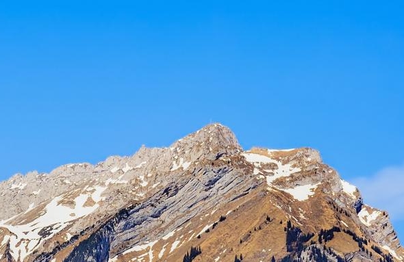 粉象生活升级VIP必须交钱