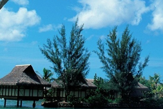 宜春粉象生活注册