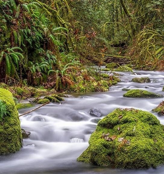 粉象怎么换邀请码