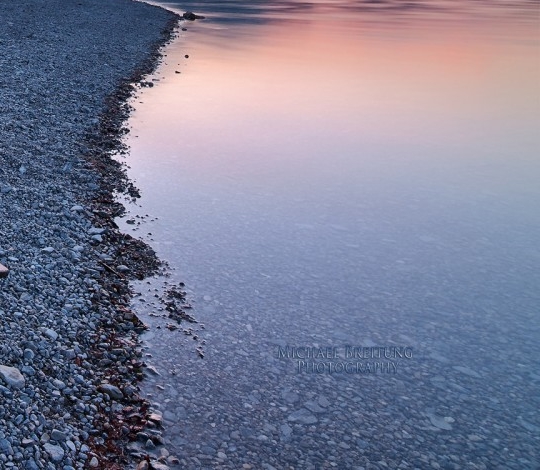 金华粉象生活注册
