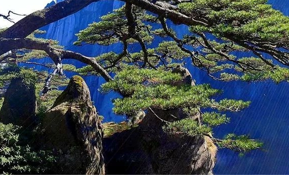 粉象生活替代沙发