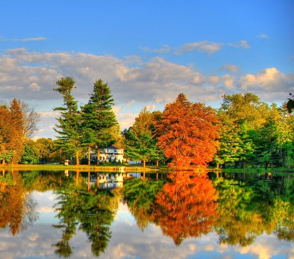 粉象生活注册的商家