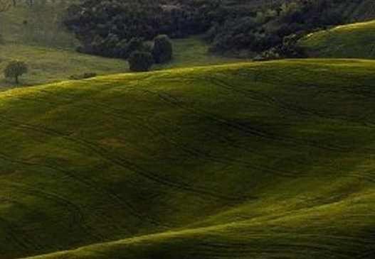 一淘和粉象生活哪个便宜