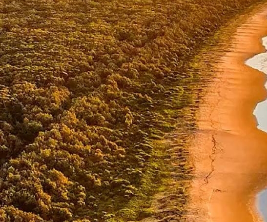 粉象生活推荐邀请码325922