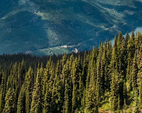 粉象生活如何注册