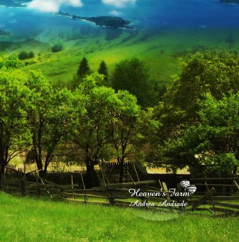 粉象生活邀请码